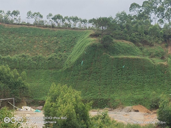 0-博白县大桐镇金鼓村建筑用花岗岩矿采石场生态修复工程684.png